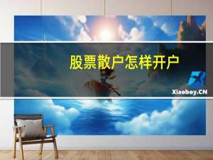 股票散户怎样开户