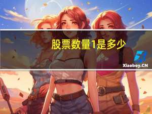 股票数量1是多少