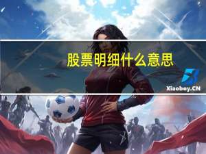 股票明细什么意思