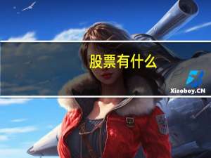 股票有什么
