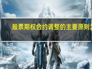 股票期权合约调整的主要原则为