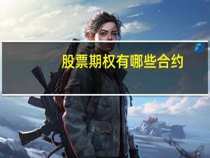 股票期权有哪些合约