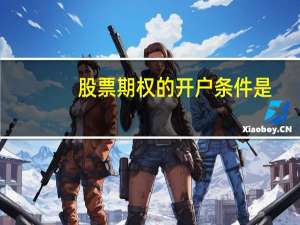 股票期权的开户条件是