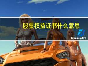 股票权益证书什么意思