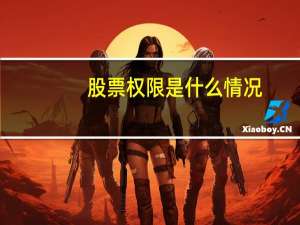 股票权限是什么情况