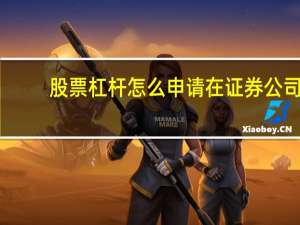 股票杠杆怎么申请在证券公司