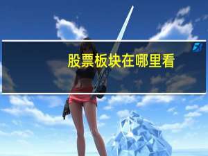 股票板块在哪里看
