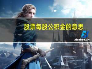 股票每股公积金的意思