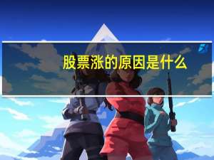 股票涨的原因是什么