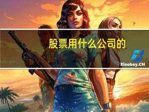 股票用什么公司的