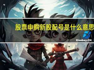 股票申购新股配号是什么意思（新股申购配号是什么意思）