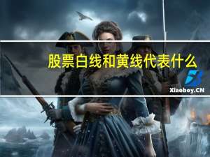 股票白线和黄线代表什么