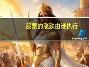 股票的涨跌由谁执行