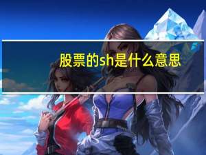股票的sh是什么意思