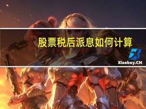 股票税后派息如何计算