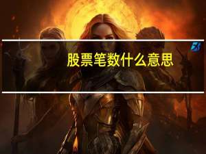 股票笔数什么意思