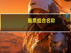 股票组合名称