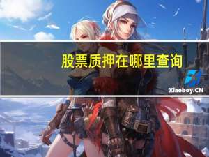股票质押在哪里查询