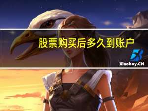 股票购买后多久到账户