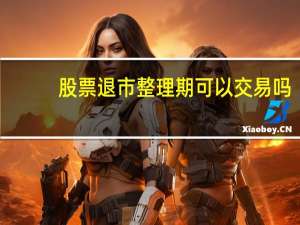 股票退市整理期可以交易吗