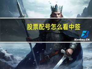 股票配号怎么看中签