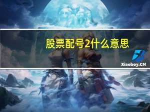 股票配号2什么意思