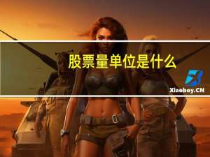 股票量单位是什么