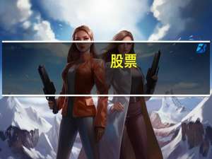 股票（关于股票的介绍）