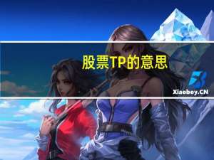 股票TP的意思