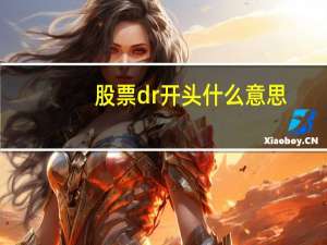 股票dr开头什么意思