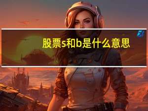 股票s和b是什么意思