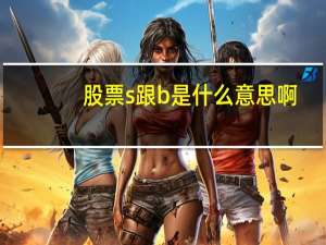 股票s跟b是什么意思啊