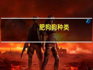 肥狗狗种类