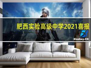 肥西实验高级中学2021喜报（肥西实验高级中学简介）