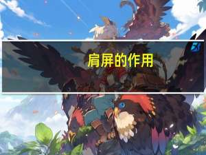 肩屏的作用（肩屏）