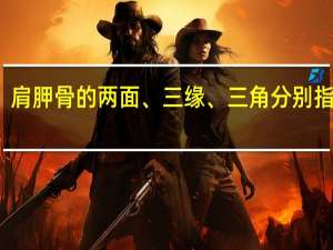 肩胛骨的两面、三缘、三角分别指什么