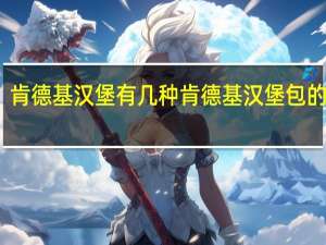 肯德基汉堡有几种 肯德基汉堡包的做法