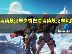 肯德基汉堡肉饼做法 肯德基汉堡包的做法