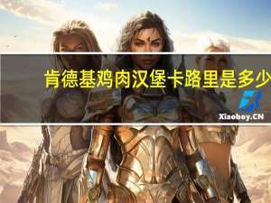 肯德基 鸡肉汉堡卡路里是多少