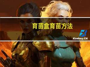 育苗盒育苗方法