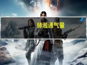 肺泡通气量（肺泡）