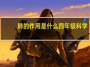 肺的作用是什么四年级科学（肺的作用是什么）