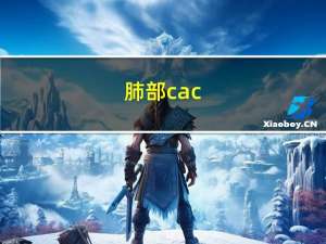 肺部cac（肺部ca什么意思）