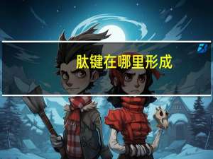 肽键在哪里形成