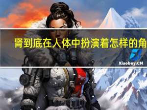 肾到底在人体中扮演着怎样的角色