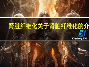 肾脏纤维化 关于肾脏纤维化的介绍