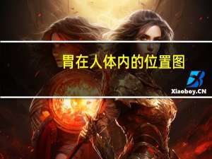 胃在人体内的位置图（胃的位置在哪里）