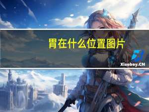 胃在什么位置图片（胃在什么位置）