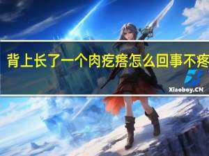 背上长了一个肉疙瘩怎么回事不疼不痒（背上长了一个肉疙瘩怎么回事）
