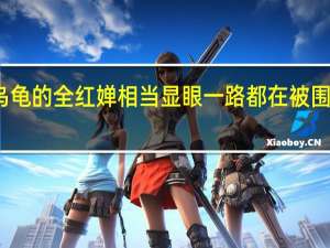 背了一堆小乌龟的全红婵相当显眼一路都在被围观 到底什么情况呢